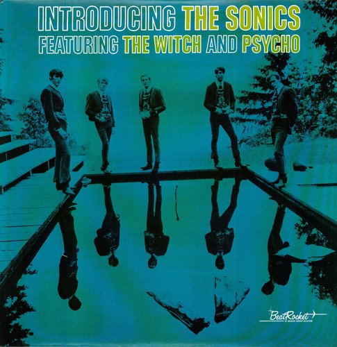 The Sonics: Introducing the Sonics { Vinyl LP }