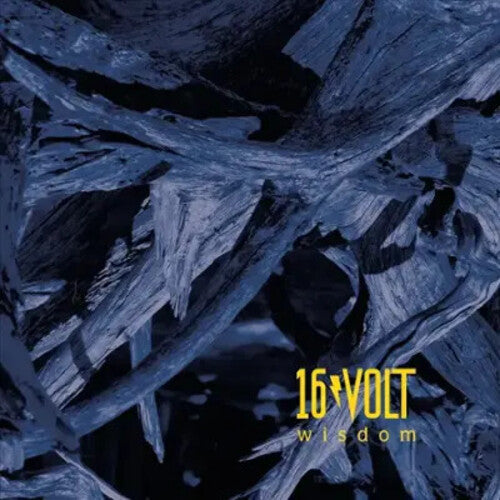 16Volt: Wisdom { Vinyl LP }